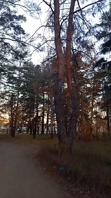 1010895700.mp4 смотреть онлайн