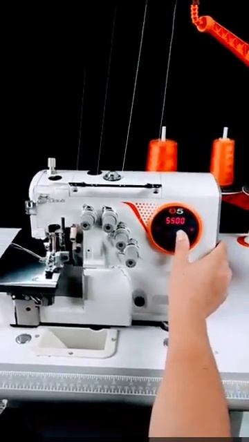 22 августа 2024 г.