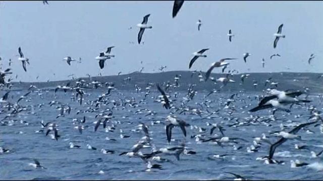 ПРИРОДА смотреть онлайн