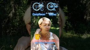 Совместимость Скорпион и Весы