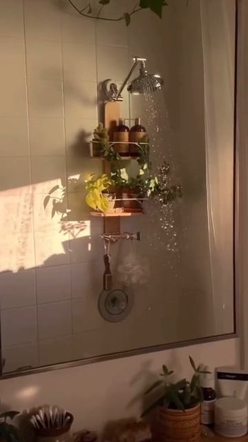Увлажнение комнатных растений смотреть онлайн