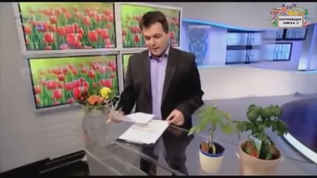 Лучшие приколы и неудачи на TV / август 2019 / Корпорация смеха #28 смотреть онлайн