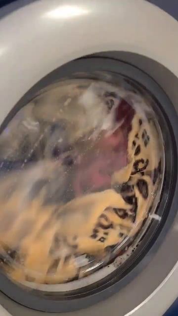 Супер стиральные машинки смотреть онлайн