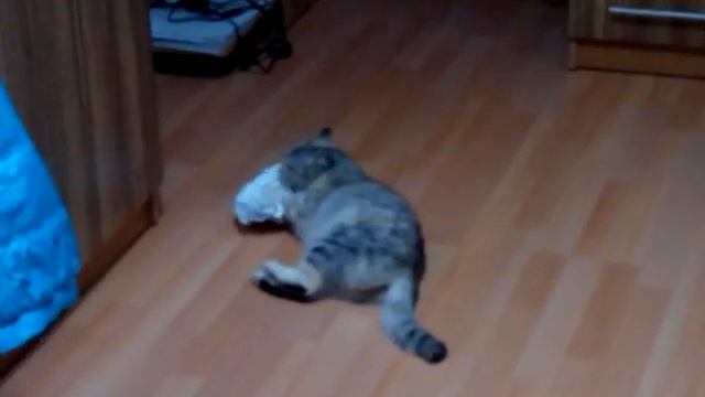 Бэська рвет бумагу смотреть онлайн