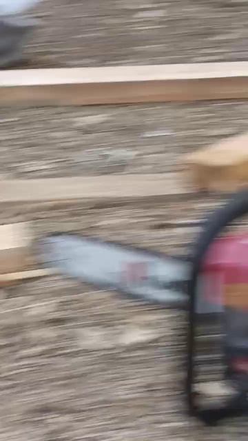 берёза смотреть онлайн