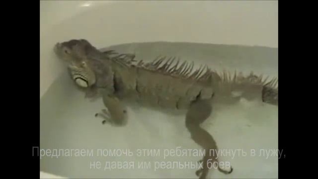 Солдаты неудачи смотреть онлайн