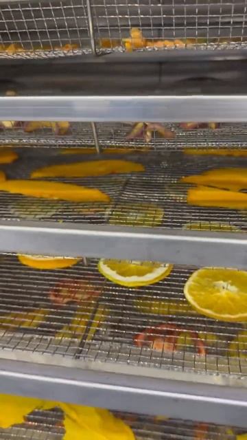 Сушильный шкаф. Создание сухофруктов смотреть онлайн