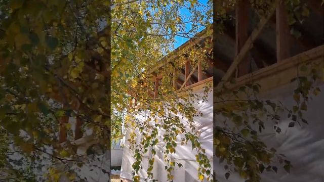 работы много на участке! #чеснок посадили, тканью закр? смотреть онлайн