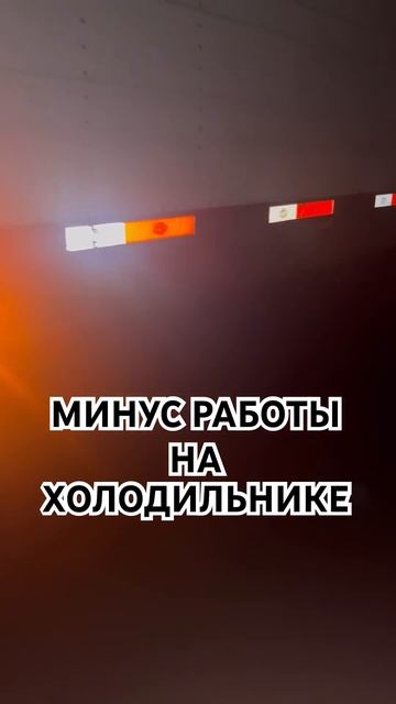 МИНУС РАБОТЫ НА ХОЛОДИЛЬНИКЕ! #дальнобой #дальнобойпо? смотреть онлайн