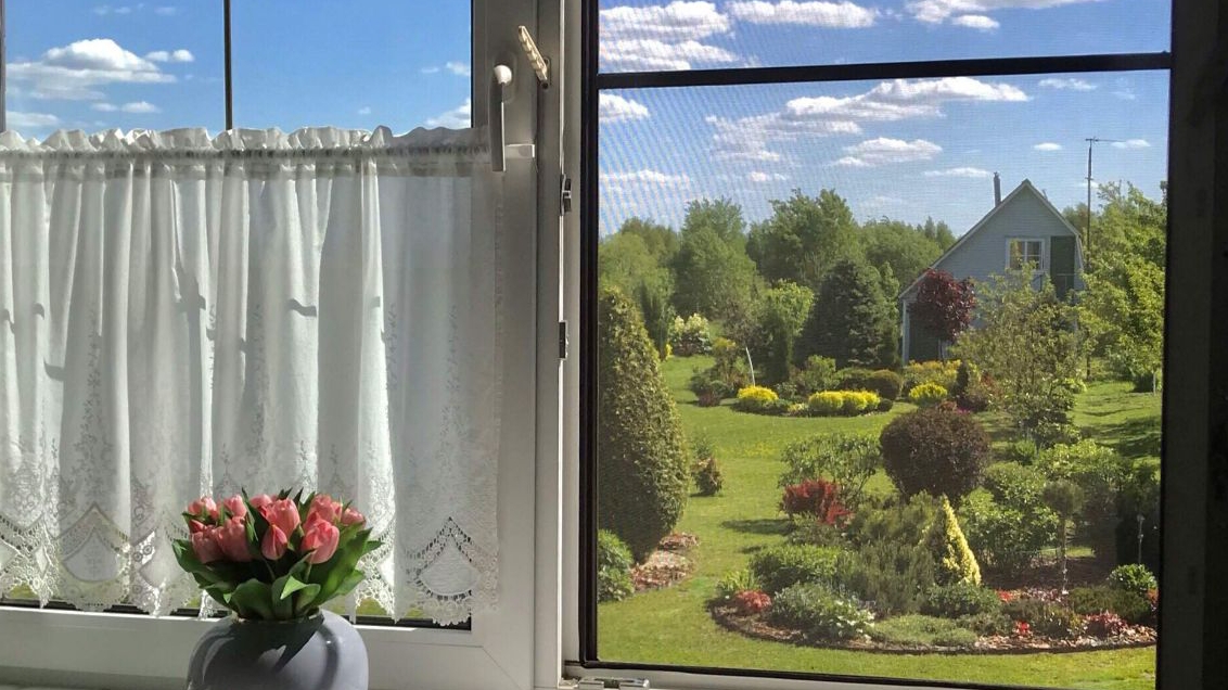 летний сад за окном!