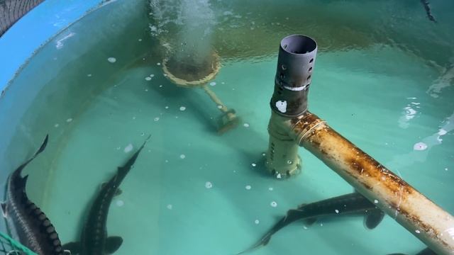 12-05-2025 УЗВ гараж