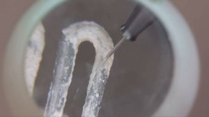 Реклама Calgon | Калгон 2017