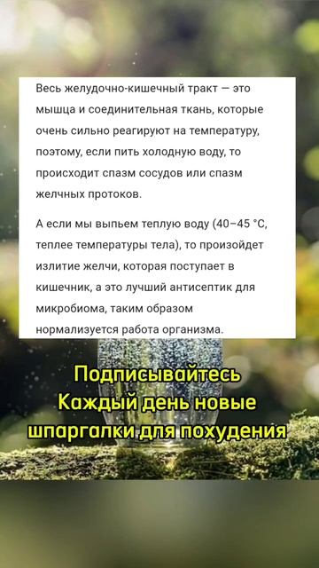 Худеем просто Здоровое похудение Как удержать вес #пи? смотреть онлайн