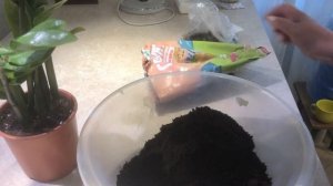 Как использовать кофейные отходы после кофемашины. Вы