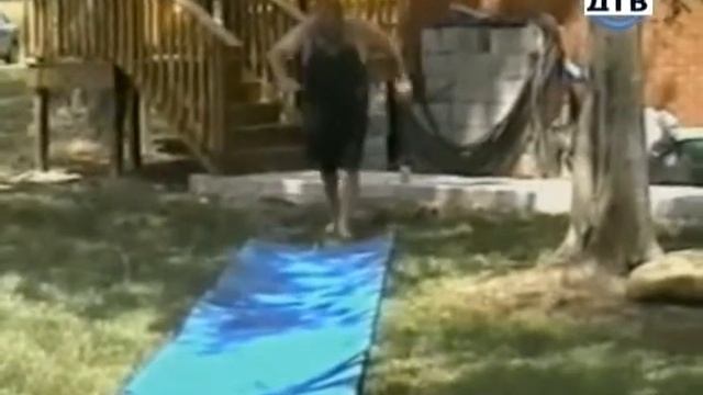 Шутка клевое видео мои видео приколы