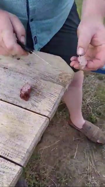 Готовый шашлык смотреть онлайн