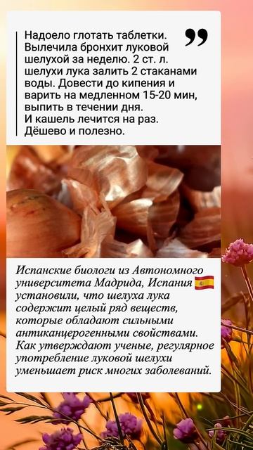 Луковая шелуха.. полезно знать смотреть онлайн