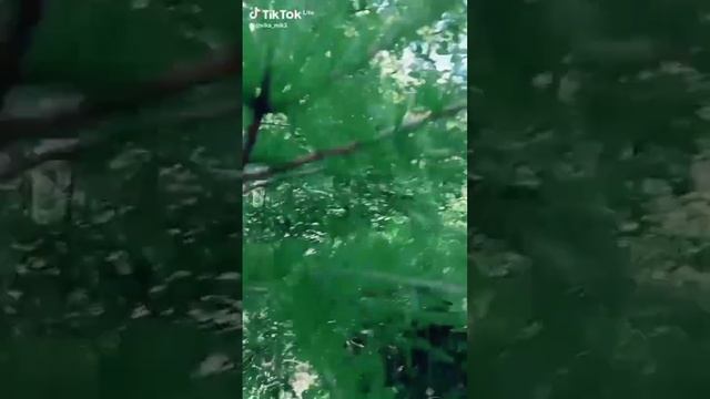 #треки #погода #природа #отдых #остров Сахалин смотреть онлайн