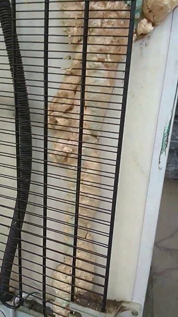 тыл холодильника видит только стена. смотреть онлайн