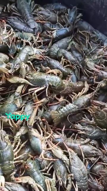 1010895716.mp4 смотреть онлайн