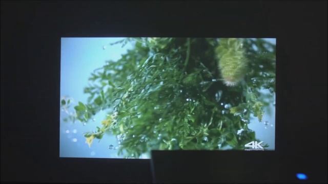 Home theater projector ThundeaL TDA7W Aliexpress Gadgets ThundeaL Домашний Проектор смотреть онлайн