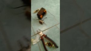 чиним мотор кухонной вытяжки