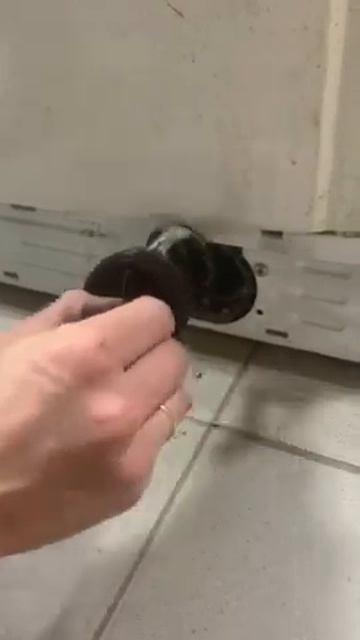 Прочистка сливного фильтра стиральной машины смотреть онлайн