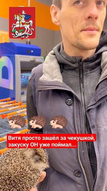 Это Витя, он любит ЕСТЬ ежей 🫤 #подмосковье #треш #живо смотреть онлайн