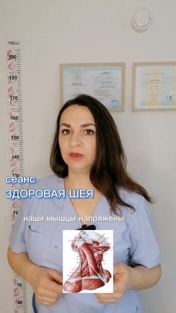 Шейно-воротниковая зона - это зона стресса! смотреть онлайн