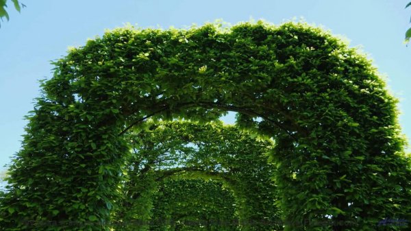 Эта музыка превращает заправку в середине ночи в свидание - A Play on Words -- Les Hayden -- Home