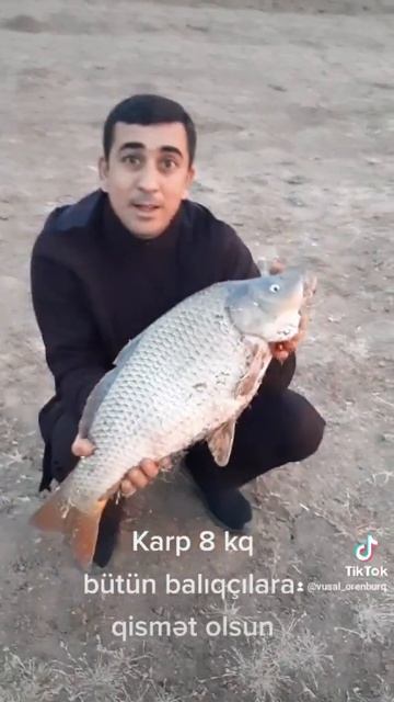balıq 8 kq рыба вес 8 кг fishing смотреть онлайн