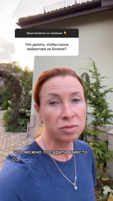 Что делать, чтобы сосна Веймутова не болела? #сад #мари? смотреть онлайн