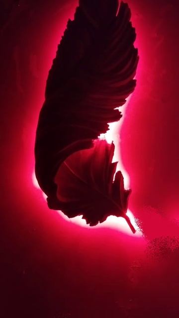 Светильник 