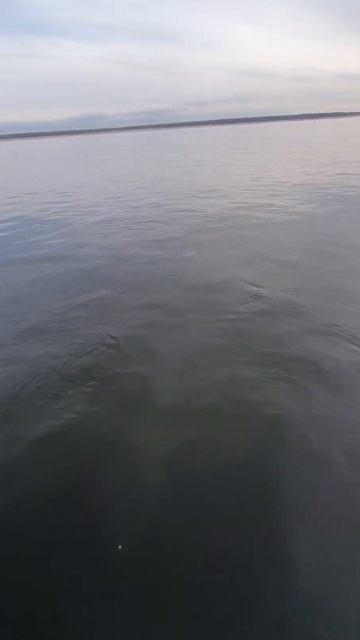 23 октября 2023 .г Якутск - нижний Бестях. погода -1/-4 смотреть онлайн