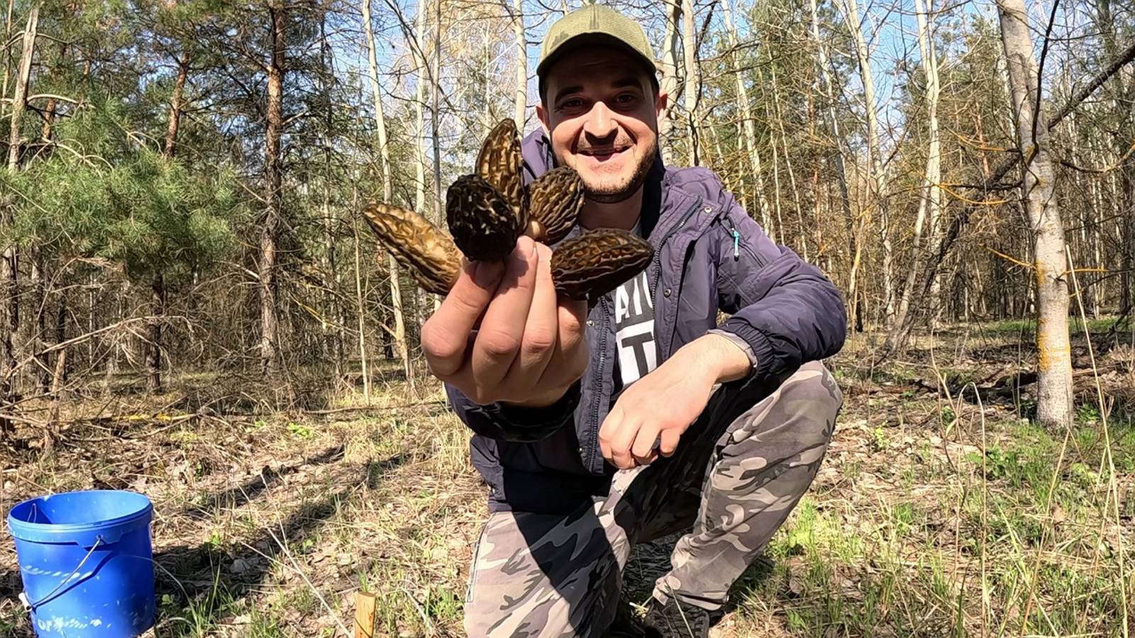 ГРИБНОЕ СЧАСТЬЕ!! Новый лес полон грибов. Сбор грибов весной смотреть онлайн
