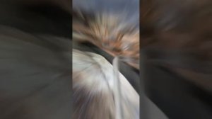 Духовка плиты не работает. Газ не поступает. Ищем прич?