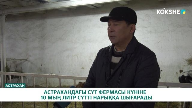 АСТРАХАНДАҒЫ СҮТ ФЕРМАСЫ КҮНІНЕ 10 МЫҢ ЛИТР СҮТТІ НАРЫҚҚА ШЫҒАРАДЫ смотреть онлайн