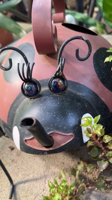 #museum #ботаническийсад #кайфовый#чайник#нужен#дома смотреть онлайн