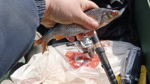 Традиция на 9 Мая!!! Счет в матче с беглецами 2:1 в мою пользу!