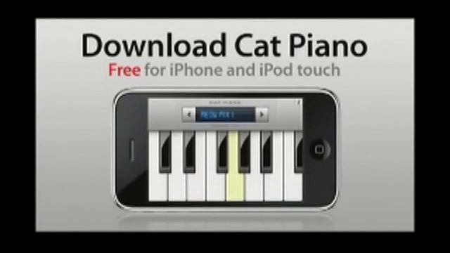 Смешные котята, прикольные животные смотреть онлайн