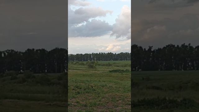 Ждём дождь #2024 #топ смотреть онлайн