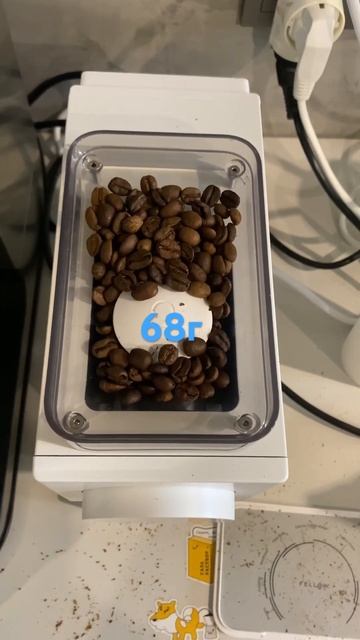 На фильтре. Коста-Рика Кеннет Мадригал? смотреть онлайн