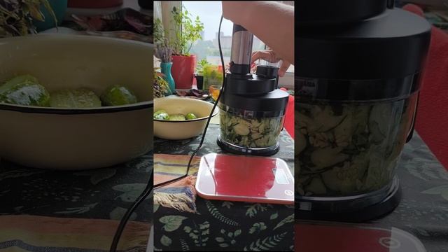 Новый блендер Пионер 11 в 1 смотреть онлайн