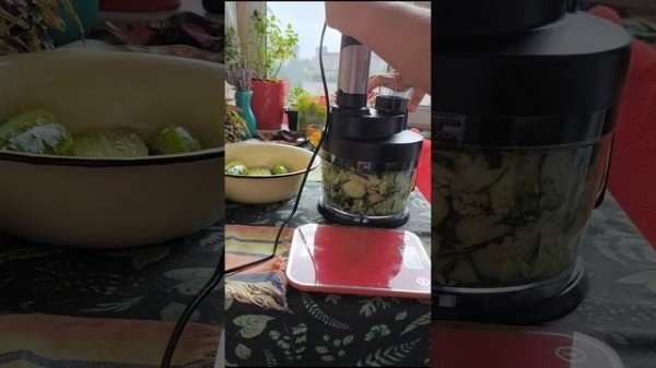 Новый блендер Пионер 11 в 1