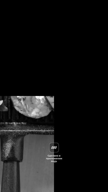 Сковорода-гриль чугунная Skeppshult 0029T с ручкой из массива смотреть онлайн