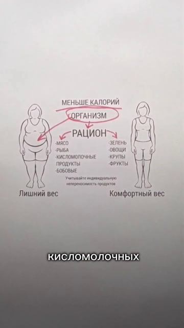 ❌🤷Не спеши урезать количество еды при похудении, пок смотреть онлайн