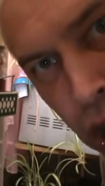 А Я НЕ ПОНЯЛ ЧТО ВЫ ДЕЛАЕТЕ В МОЕМ ХОЛОДИЛЬНИКЕ#генади?