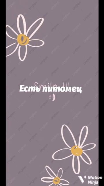 пой эти песни если ты..../у тебя есть смотреть онлайн