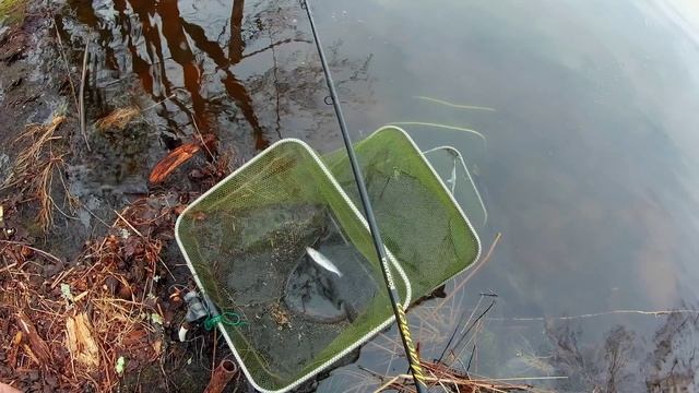 Открытие сезона- фидер на селигере