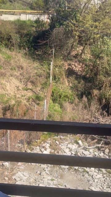 Ман миксер (едет на заливку) зверь #peregruz смотреть онлайн